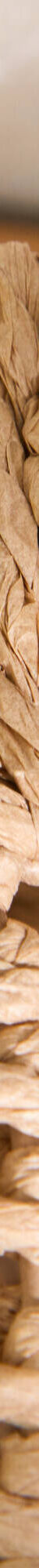Decoratieve palmboom om neer te zetten (naturel) Decoratieve palmboom om neer te zetten (naturel)
